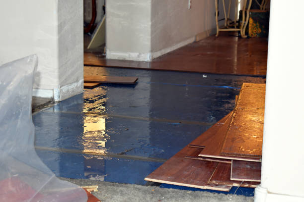 Professional Basement Flood Cleanup technician working in Marianna, PA